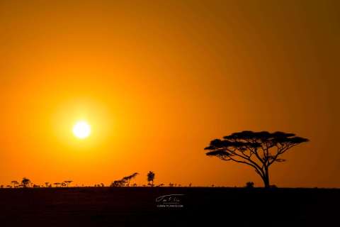Morgenstemning over Serengeti i Tanzania