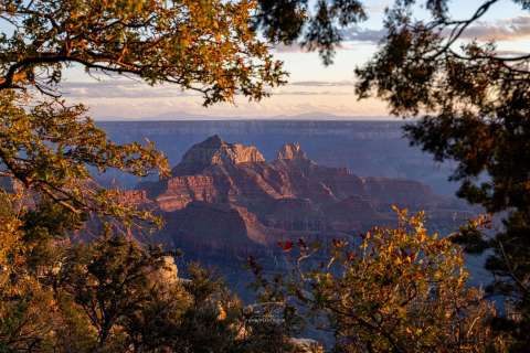 Høst i Grand Canyon